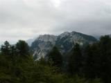 DSC01523